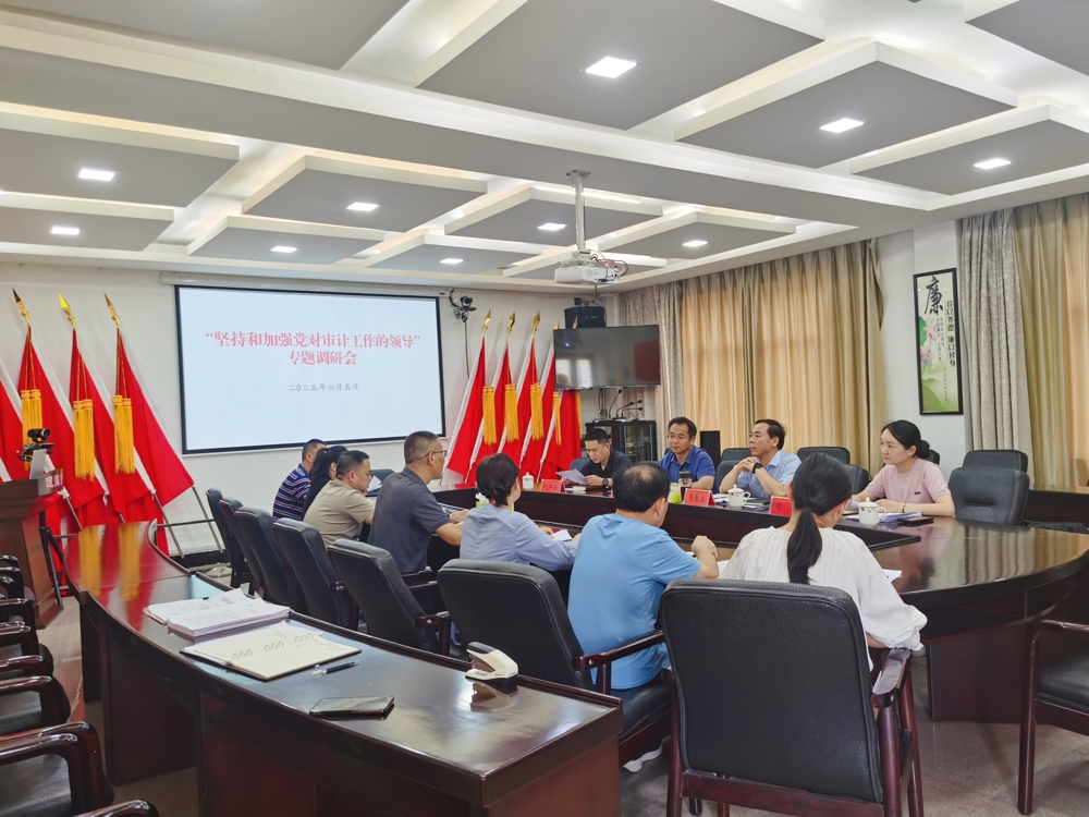 进行调研还是开展调研 %E4%B8%B4%E6%BE%A7%E5%8E%BF%E5%A7%94%E5%AE%A1%E8%AE%A1%E5%8A%9E%E8%B0%83%E7%A0%94%E5%BA%A7%E8%B0%88.jpg