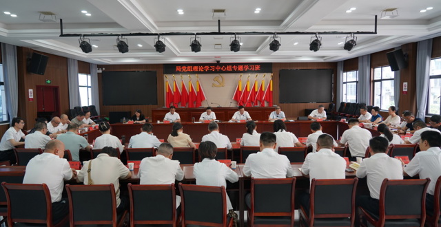 市审计局党组开展理论学习中心组专题学习