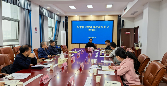 陈成督导社区书记主任经济责任审计工作