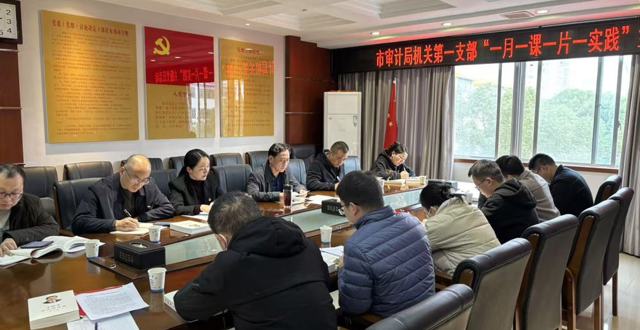 市审计局机关第一党支部：主题党日“小切口”  破解投资审计“大难题”