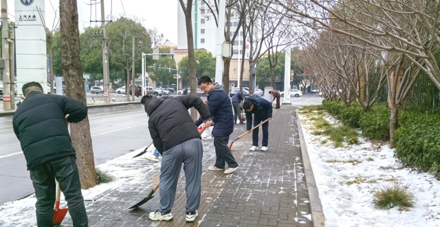 市审计局机关第一党支部开展扫雪除冰主题党日活动