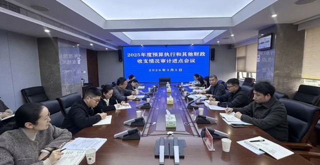 2025年度市级预算执行审计全面启动