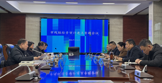 常德市残疾人联合会主要领导干部经济责任审计暨全市残疾人就业保障金专项审计调查进点会召开