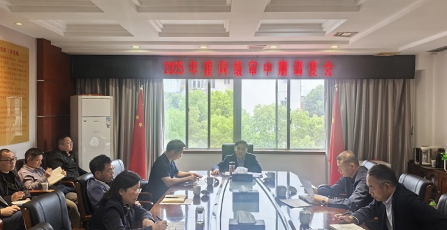 辛春生专题调度2025年度市级预算执行审计