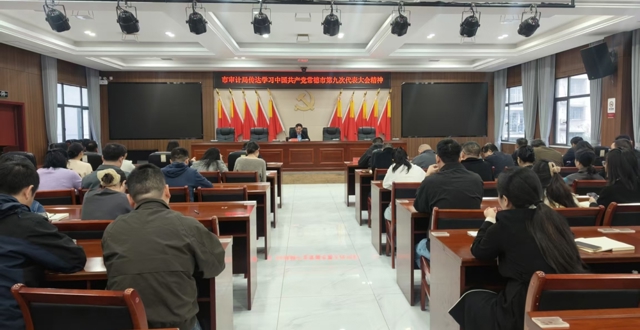 锚定发展蓝图  强化审计担当